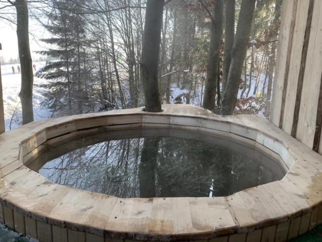Hotel Wood House Pilipets Zewnętrze zdjęcie